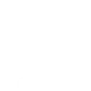 objective icon