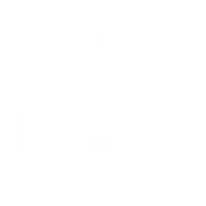 objective icon