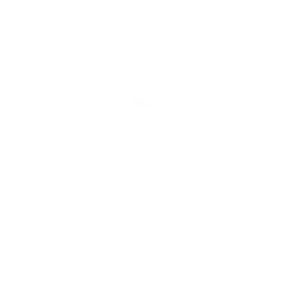 objective icon